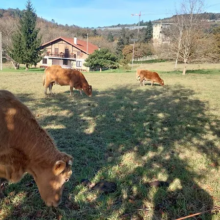 Caserio Aritziberre Holiday home *