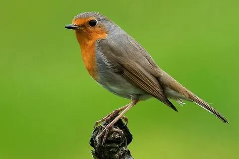 Caserio Aritziberre Gatika