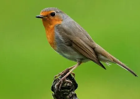 Caserio Aritziberre Gatika