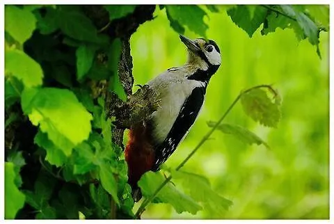 Caserio Aritziberre Gatika