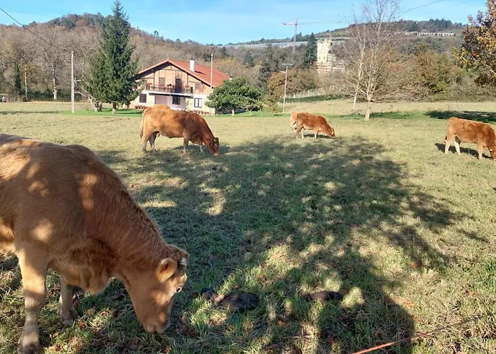 Caserio Aritziberre Vakantiehuis *